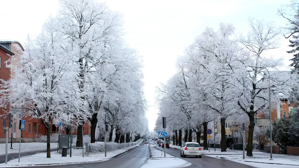 Kaserngatan kantades av vita vinterträd.