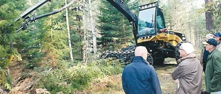Skogsexkursion i Harg