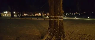 21-åring åtalas för mord