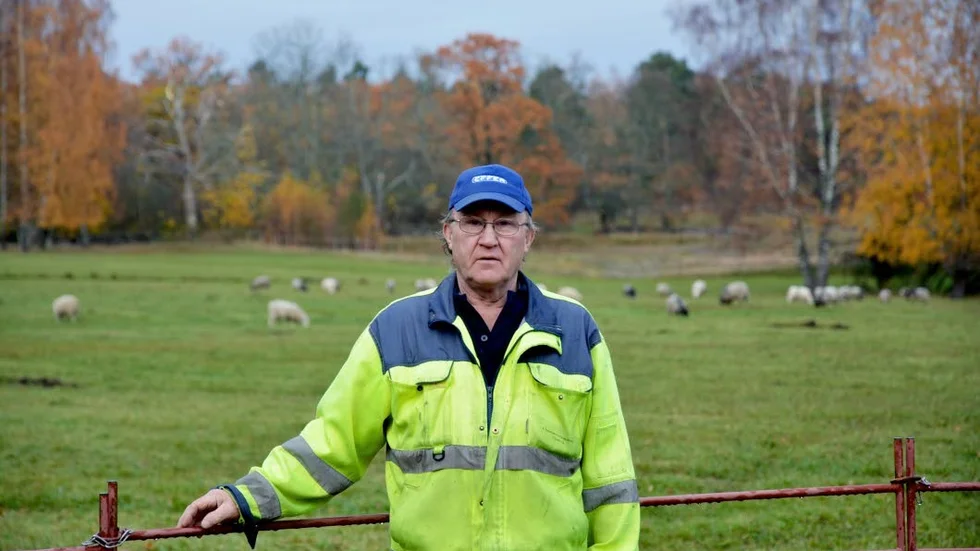 Gränsö. Thomas Johansson får mycket uppskattning av grannarna för sitt jobb med att bygga nya stängsel kring hagar på Gränsö, där det betar får och där riskolans hästar går under sommaren.