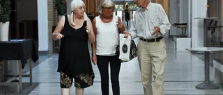 Linköpings Tidning möter: Konstnärer gånger tre