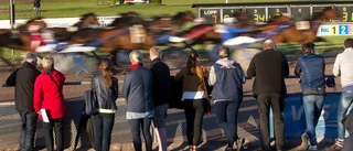 Hemmahästen tar sikte på V75