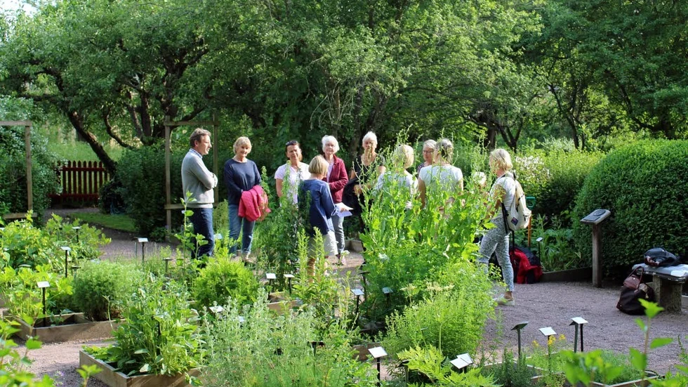 Åhörarna samlades i Örtagården under en fantastisk sommarkväll.