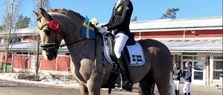 NM-silver uppladdning inför Falsterbo