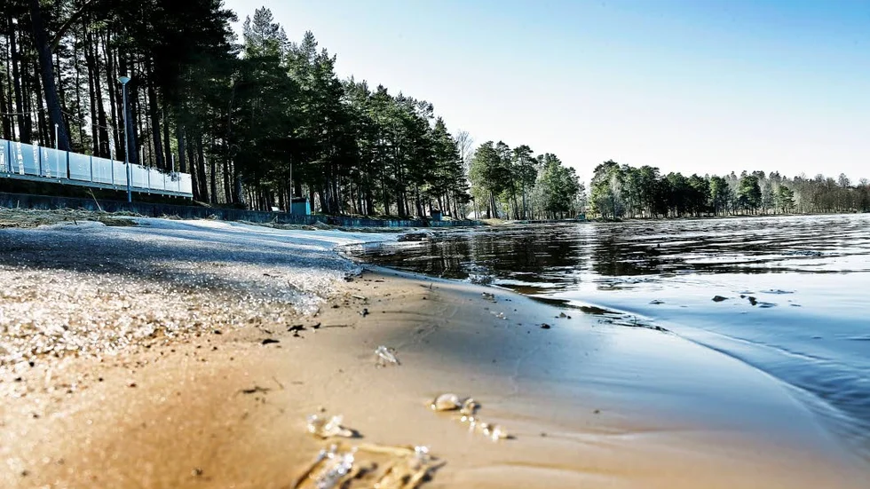 Skribenten betonar vikten av att värna vattenkvaliteten och respektera strandskyddet när Lalandias planer går vidare.