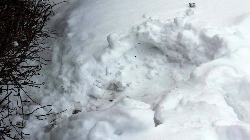 I hörnet av en trädgårdstomt påträffades Elsa död.