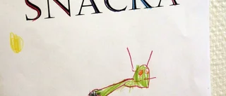 Förskolan har fått nya husdjur