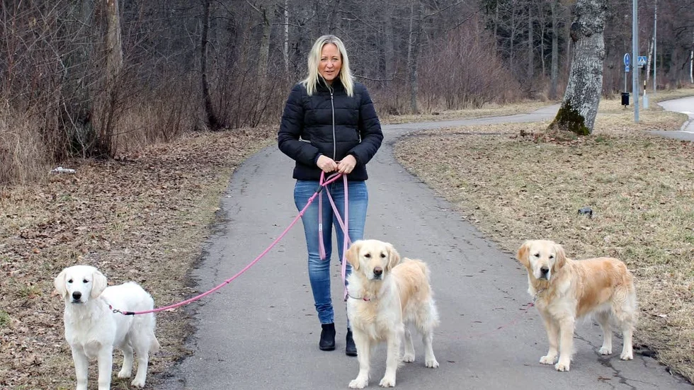 Team. Eva-Lena Rehn tillsammans med sina hundar Loka, Leia och Lisa.
