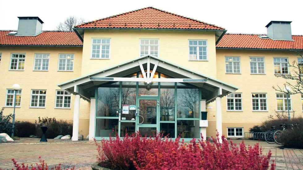 Individ- och familjeomsorgen får skarp kritik från en tidigare inhyrd konsult.