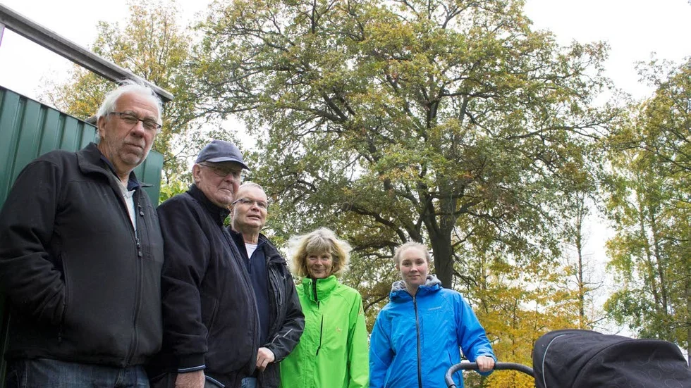 Skuggande ekar är en sanitär olägenhet för fyra familjer på Duvedalsgatan 82 i Motala. Från vänster Håkan Franzén, Ola Brodén, Bo Andersson, Catarina Engström och Emily Jönsson.