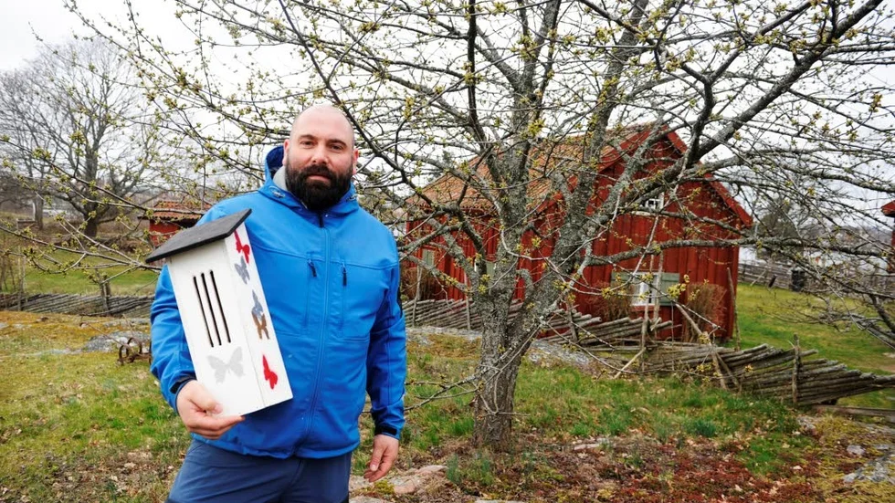 Veckans uppdrag i Vårjakten är att hitta dagfjärilar. Markus Nord på Naturum visar upp en fjärilsholk. I den kan fjärilar och andra insekter övervintra.