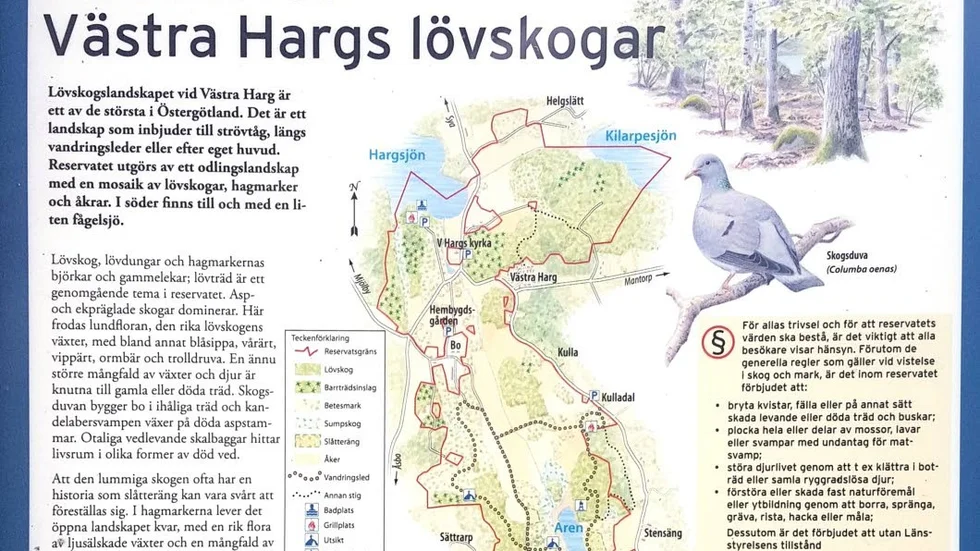 Ingrid Martini och Fredrik Olofsson med holkar som snart ska sättas upp i Holk of fame i Kulladal i naturreservatet Västra Hargs lövskogar.
