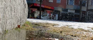 Vårdagjämningen med hopp om första barnet