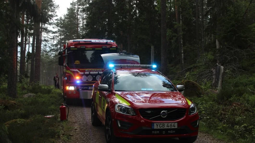 Räddningstjänsten larmades till en handfull skogsbränder under fredagen