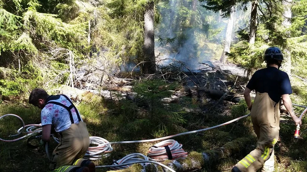 Skogsbrand vid motionsspåret nära Hällaskolan i Borensberg.