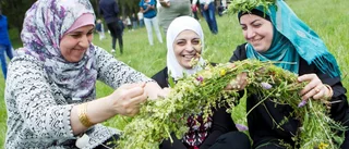 Små grodor och kurdisk dans kring stången