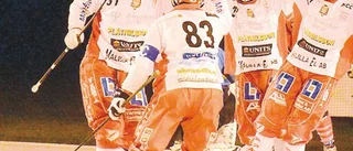 Perfekt dag för Målilla Bandy