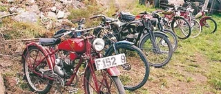 Veteranrally i skogen