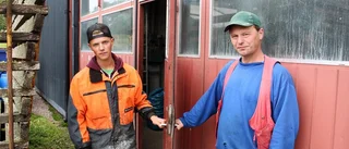 Maskinhallar i Kinda har utsatts för nattliga stölder