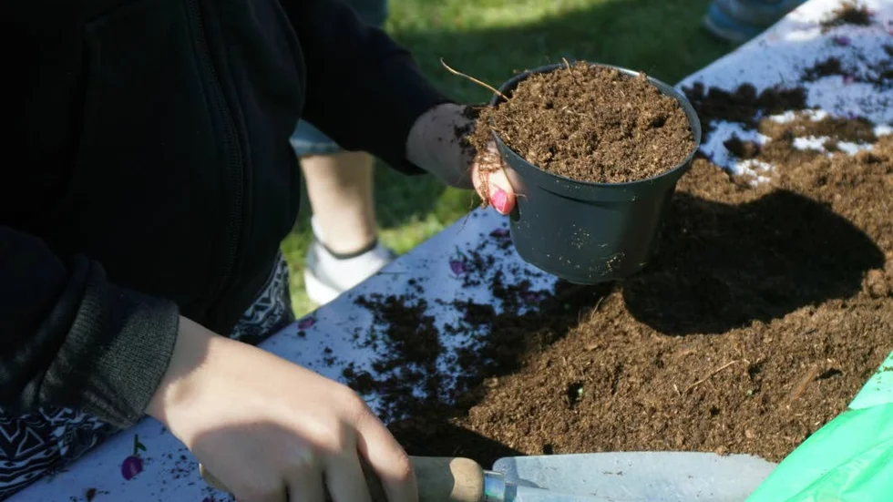 Plantering. De barn som ville fick fylla sin egen kruka med jord, och så några frön.