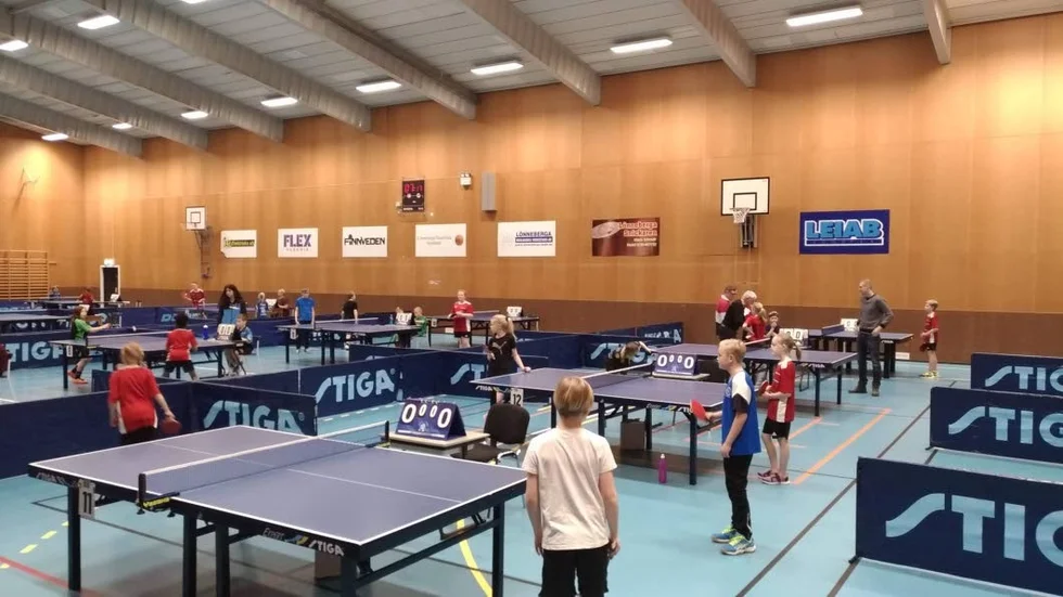 Runt 80 ungdomar deltog i zontävlingen i Silverdalens sporthall.