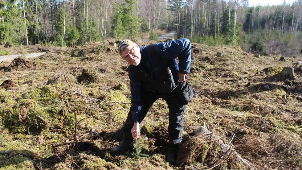Matz Ödgård och hans fru Eva-Lena har satt 500 granplantor på de drabbade områdena