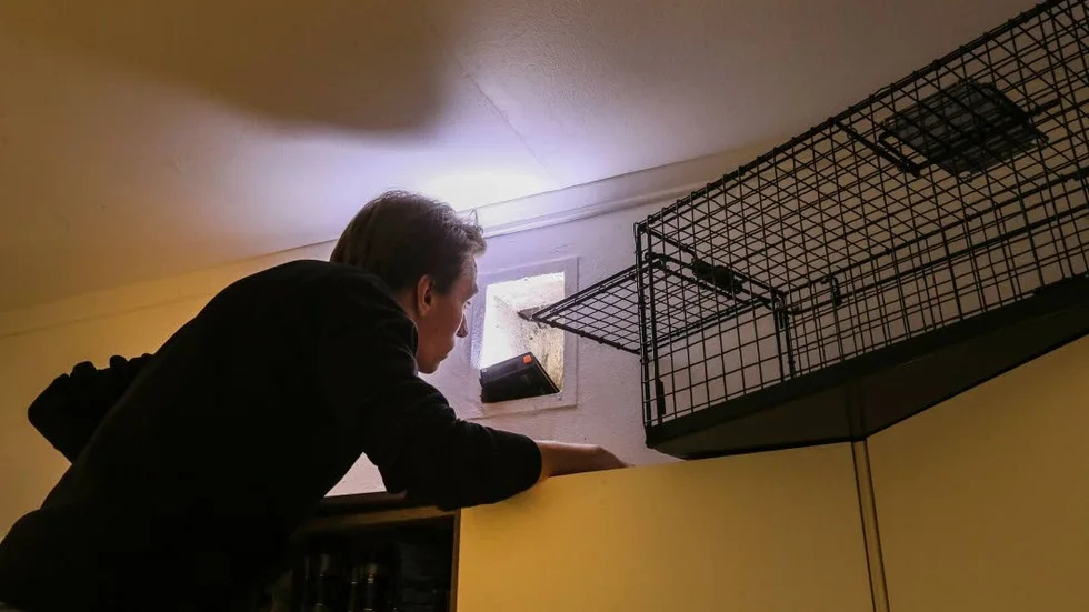 Dramat är över. Katten Hellen har lämnat ventilatiossystemet och är tryggt hemma hos husse Stefan Bränd.