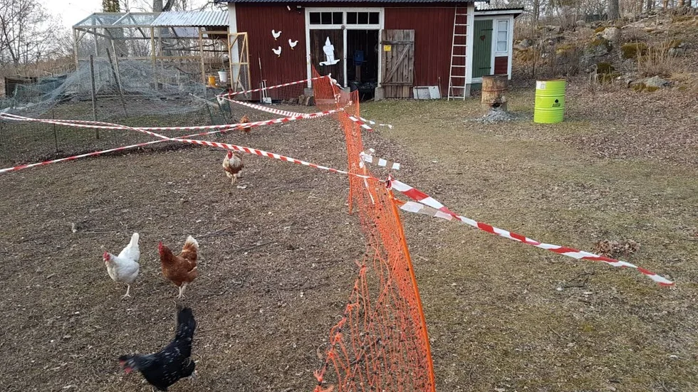 Kolmårdenanstalten i förgrunden, Kumlabunkern längst bort.