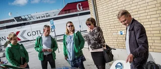 Gotland ligger före i elbilssatsning