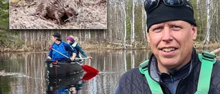 Mats överraskade den snopna bävern mitt i kvällsmålet • "Den blev totalt överrumplad"