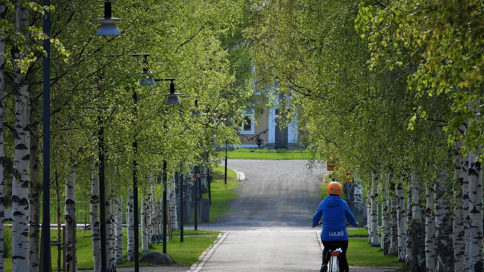 Allén mot residenset med den första skira grönskan som präglar björkarna så här i början av juni är värd sin promenad eller cykeltur.