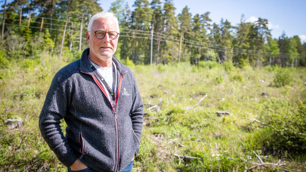 Ingvar Hansson, skogskonsulent på Skogsstyrelsen, hoppas att den riktade jakten ska halvera skadorna på skogsplanteringar.