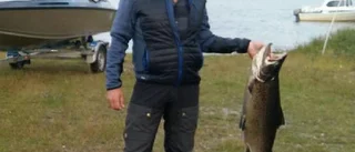 SE: Här är alla monsterfiskar
