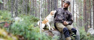 Så tränar du hund inför jaktprovet