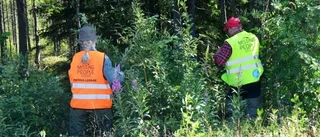 Fynd gjorda i terrängen - nära Ludvigs cykel