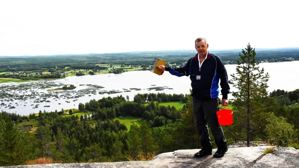 Utsiktsbergert. Utsiktsberget i Boden bjuder inte bara på vacker utsikt, även på bra bärtillgång.