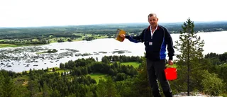 Expertens bästa tips för årets bärplockning