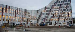 Nystartad Luleåkrog varnas