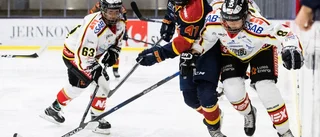 Luleå Hockeys jubel – efter stora rysaren