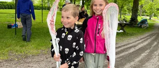 Fjärilshåvar och bihotell – Uppsalaborna firar i naturen