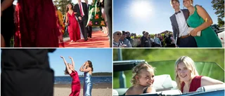 Bildextra: Stor glädje när balen gjorde comeback: "Hade jag varit som min pappa hade jag gråtit nu"