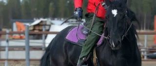 Spänner bågen på hästryggen