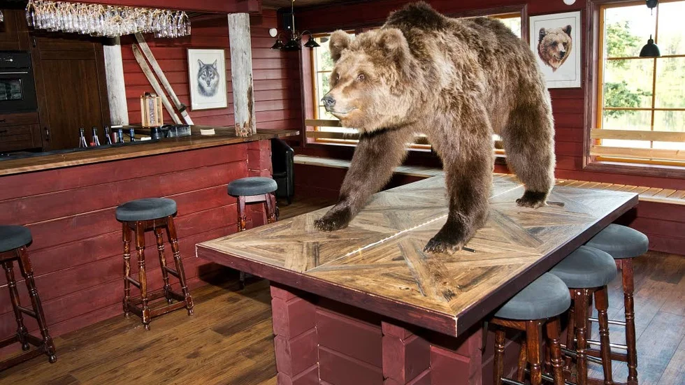 Starkvaror. I Brown Bear Bar finns förstås starkvaror – men trots utsmyckningen går det förstås också att få en Ramlösa …