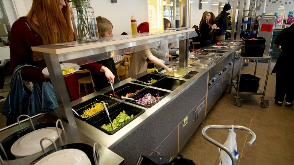 Kostnadsfråga. Svensk köttfärs på skolmatsmenyn innebär en kostnadsökning på en halv miljon under ett år, enligt enhetschefen vid måltidsservice. Bilden har inget samband med texten.