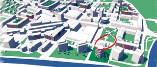 "Varför bygga för detta vackra kulturhus..."