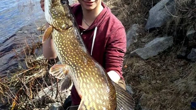 GÄDDRAR. Johnny Storelv, en i flugindargänget, med en tiokilosgädda som togs för några dagar sedan.