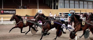Han tar över Visbytravet