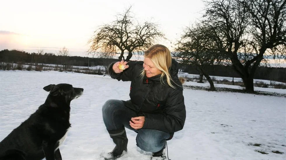 Idéspruta. Lotta Bogren har fått 19 personer att prova på att vara gotlänning, genom sitt projekt Provgute. Projektet är en av alla de idéer hon har förverkligat.