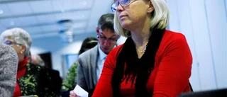 Inget beslut om Södra Hällarna