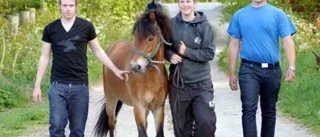 På väg till Solvalla och Lilla Elitkampen